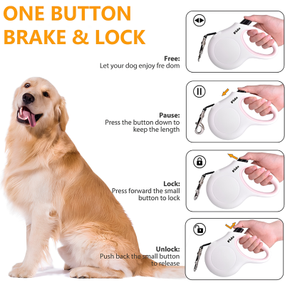 Retractable Pet Walking Leash