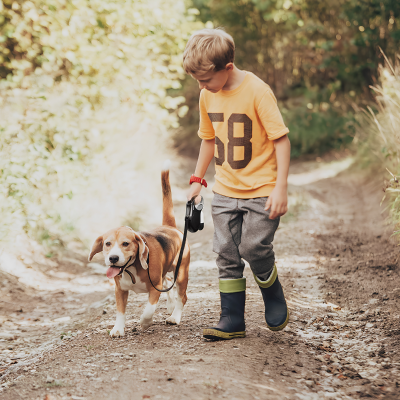 Retractable Pet Walking Leash
