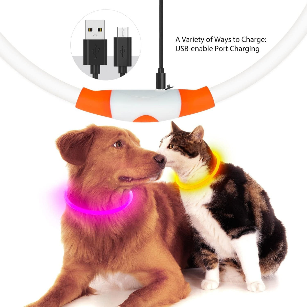 LED Dog Collar — USB Rechargeable Light-Up Safety Collar, Cut-to-Fit