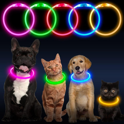 LED Dog Collar — USB Rechargeable Light-Up Safety Collar, Cut-to-Fit