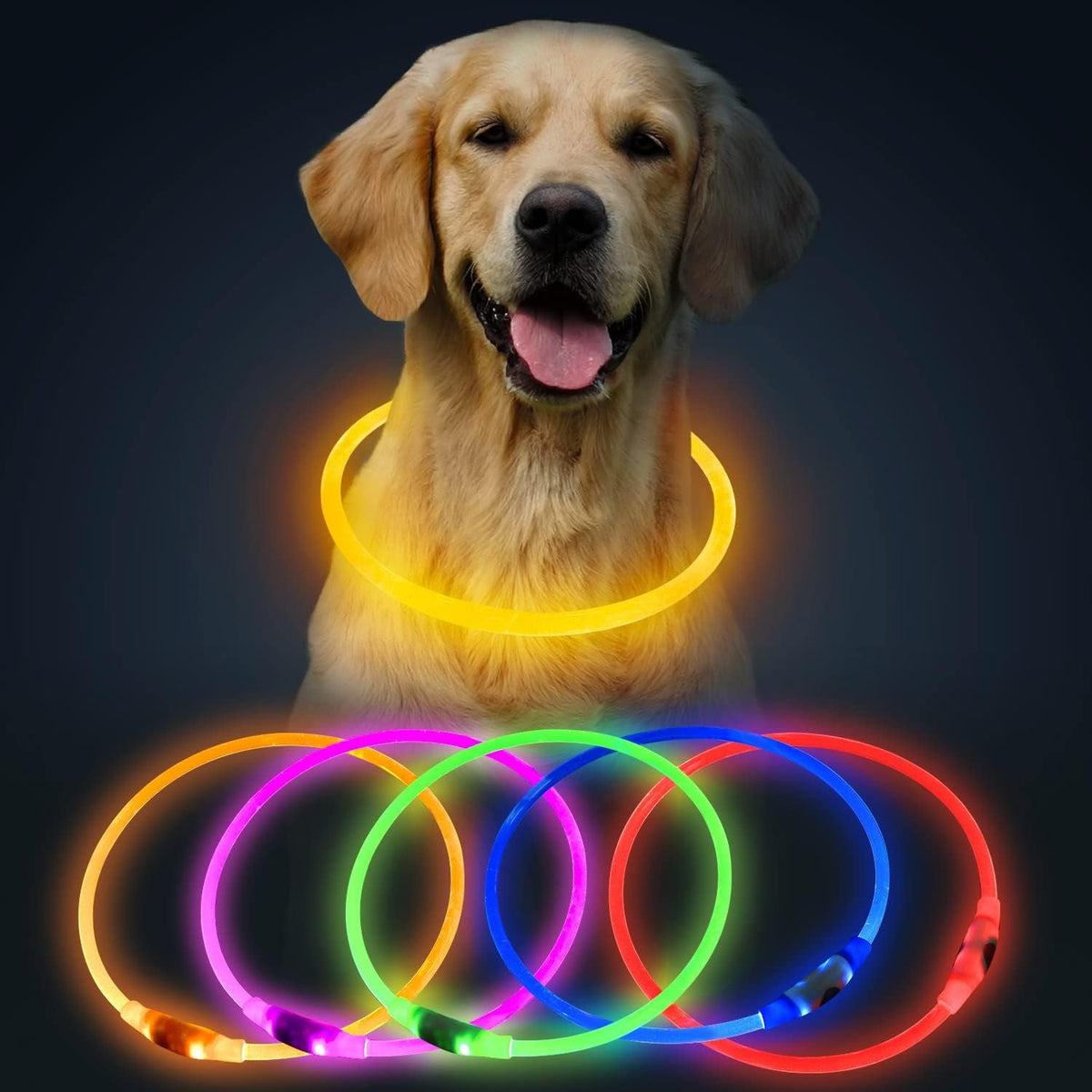 LED Dog Collar — USB Rechargeable Light-Up Safety Collar, Cut-to-Fit