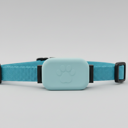 Pet collar tracker with blue strap 